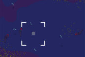 虫を捕獲する虫取りゲーム【バグ・ズー (Bug Zoo)】