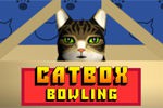 ネコがダンボールに突撃するボウリングゲーム：Cat Box Bowling