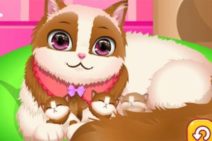 帝王切開で子猫を出産する手術ゲーム CUTE KITTY PREGNANT