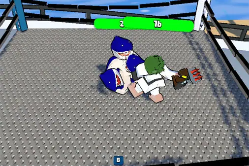 ラグドール ボクシング